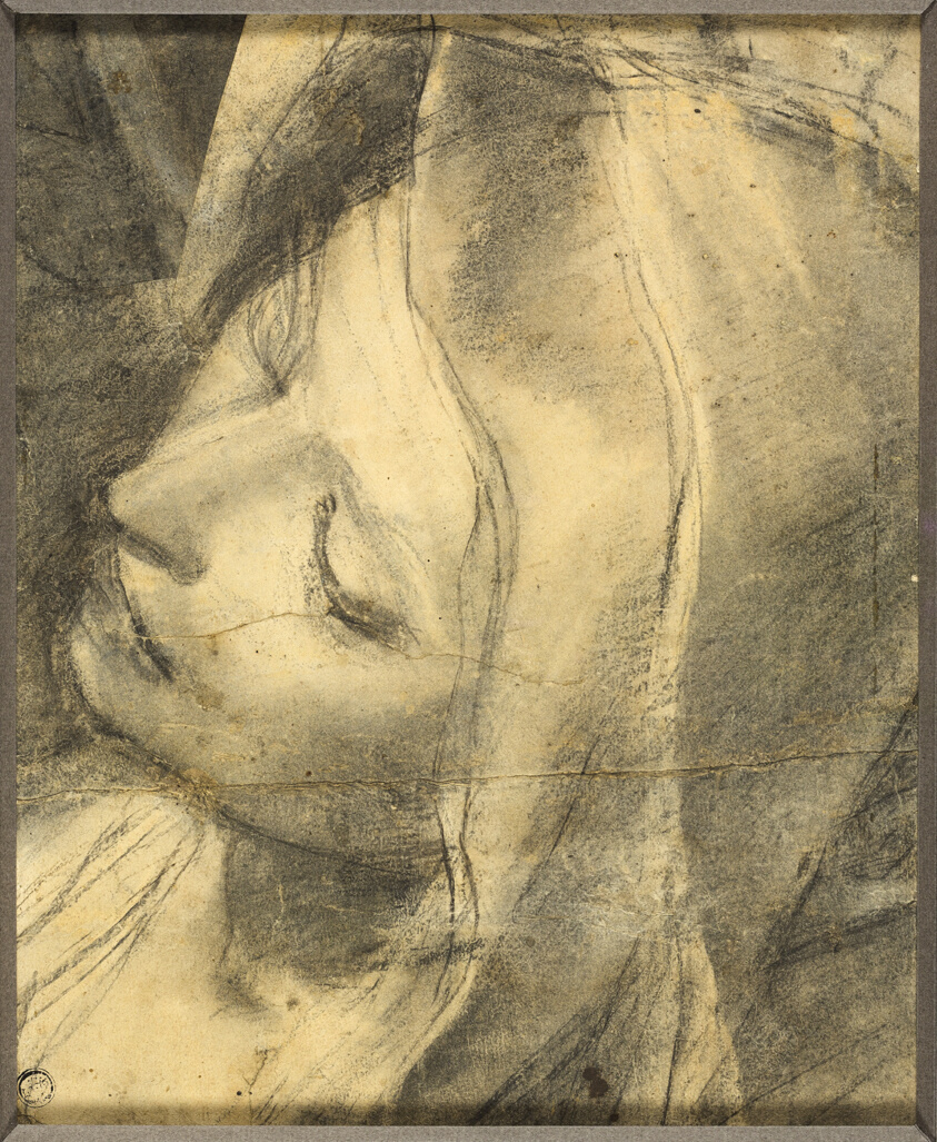 Head of the Swooning Virgin: Study for the Deposition (recot) Base of Column (verso)