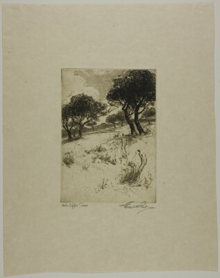 Old Apple Trees
