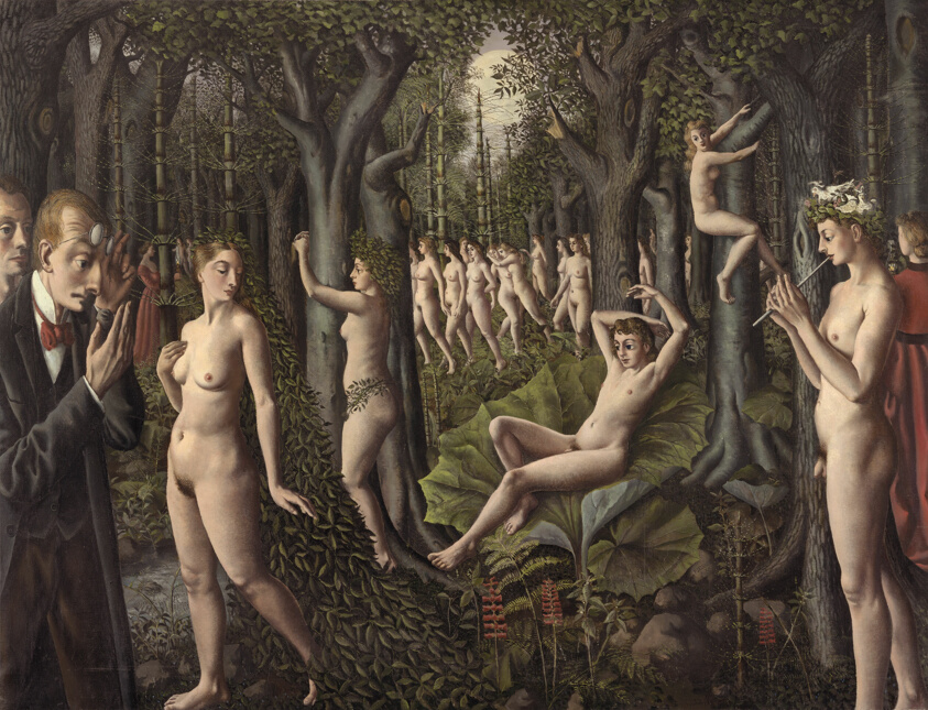 The Awakening of the Forest