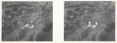 Two Explanations for a Small Split Pond