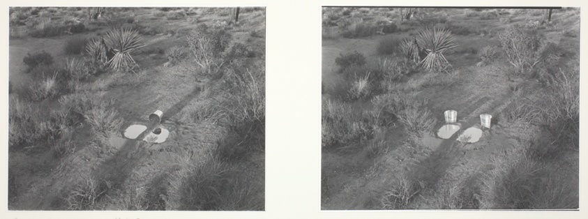 Two Explanations for a Small Split Pond