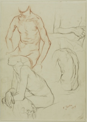 Sketches of Four Male Torsos