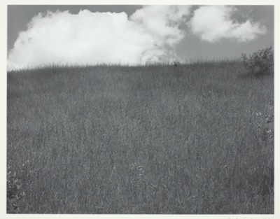 Landscape, Kalamazoo, Michigan