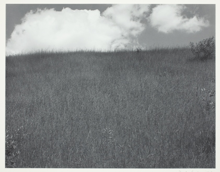 Landscape, Kalamazoo, Michigan