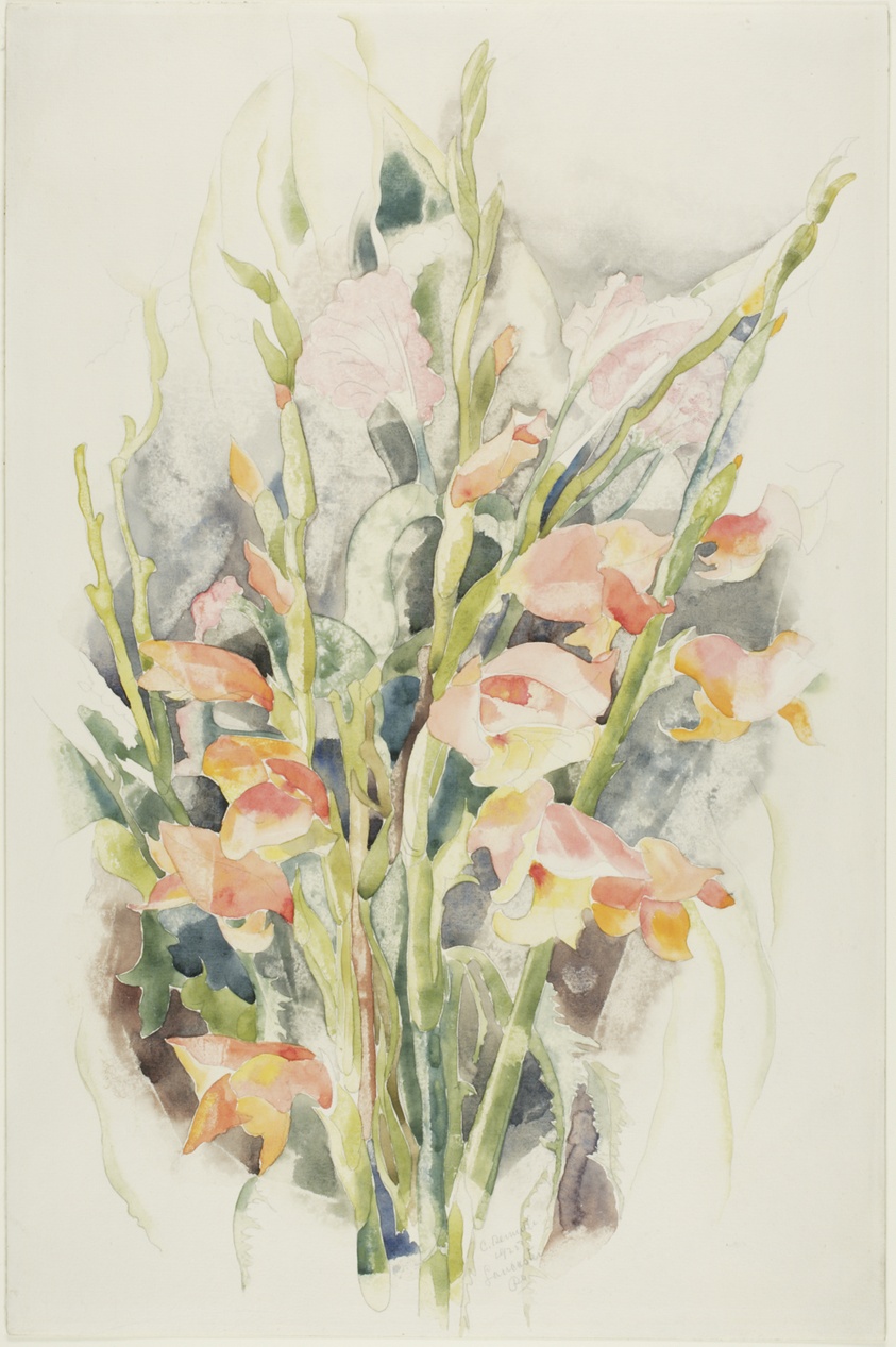 Gladioli - Flower Study #4