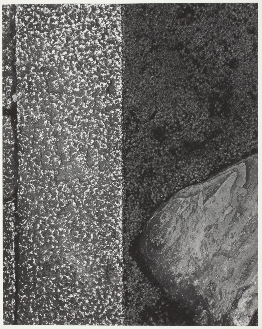 Katsura: Stone, Moss, Stone