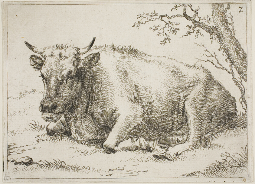 Cow Lying Beside a Tree, plate 7 from Eight Bulls and Cows