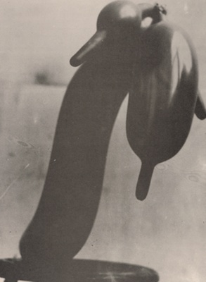 Balloon Palm (Luftballonpalme)