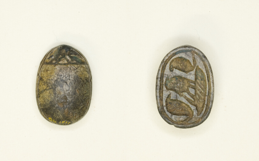 Scarab: Confronted Cobras with Falcon