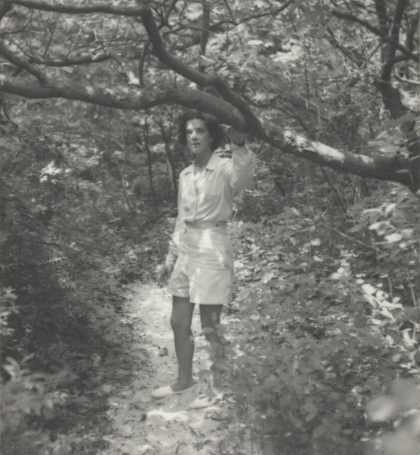 Untitled (Priscilla Peck)