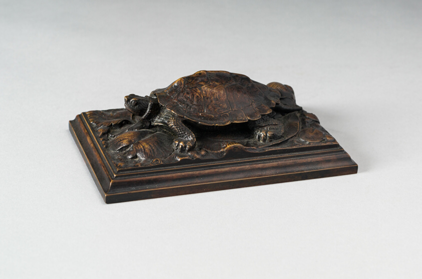 Turtle