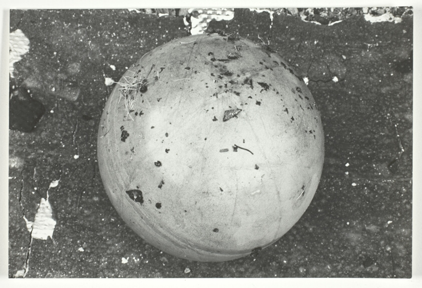 Planeta