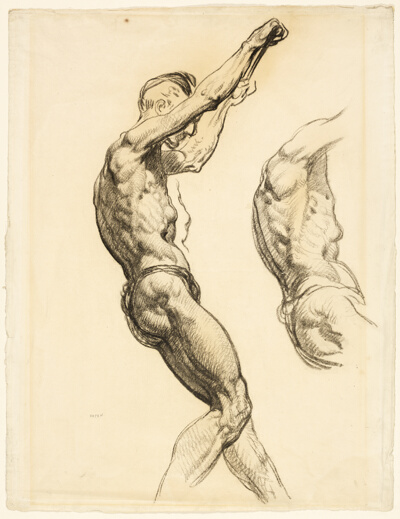 Two Sketches of a Man (recto); Forearm (verso)