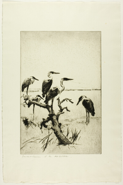Herons at Rest