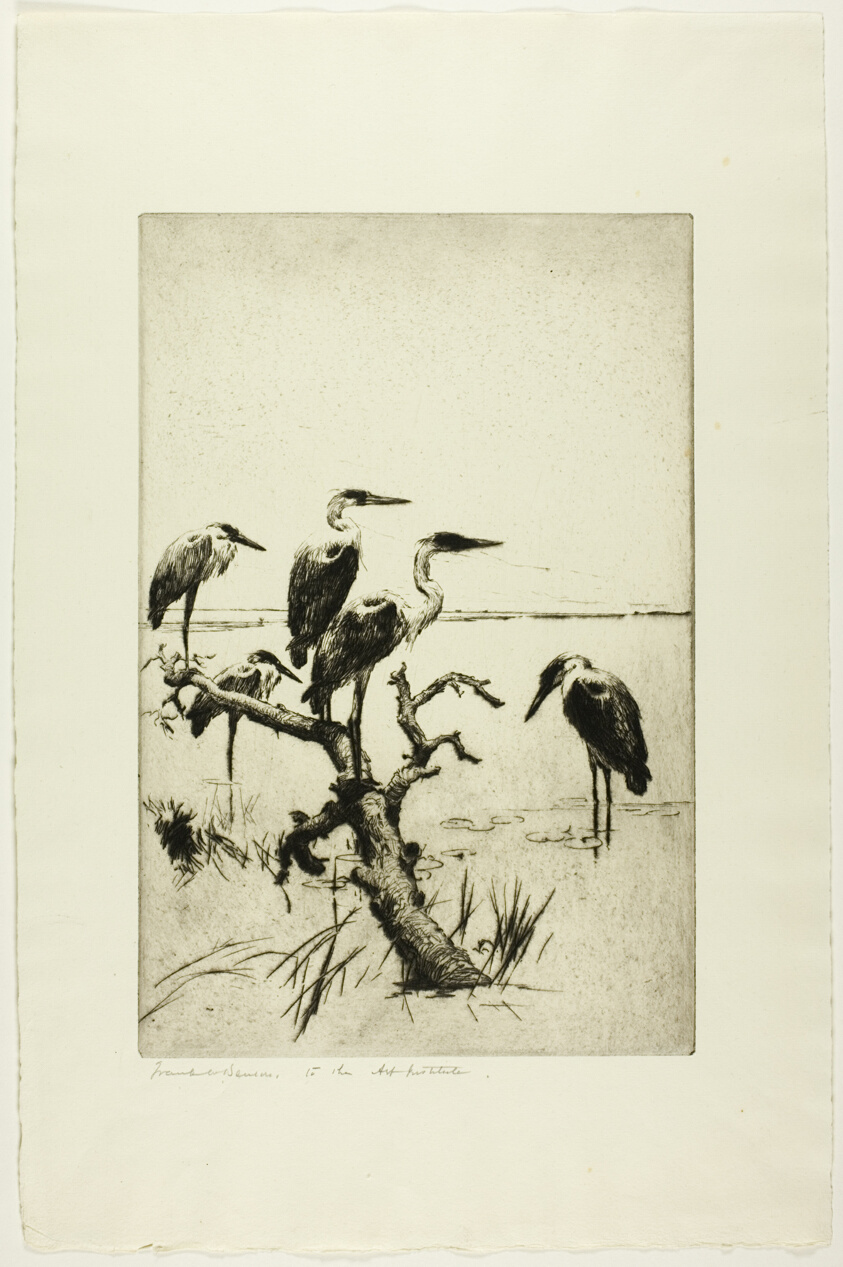 Herons at Rest
