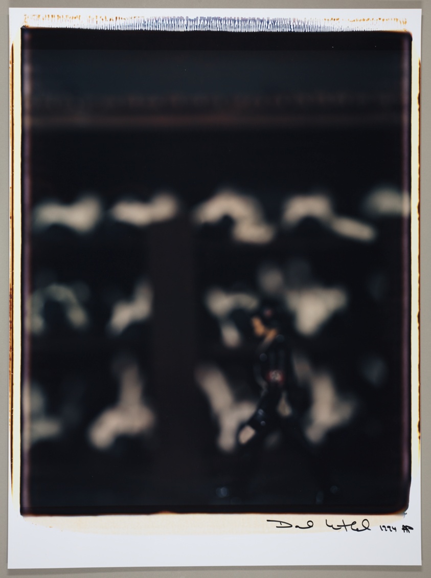 Untitled, from the series "Mein Kampf"