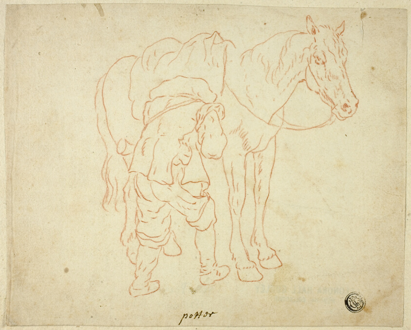 Man Adjusting Saddle on Horse