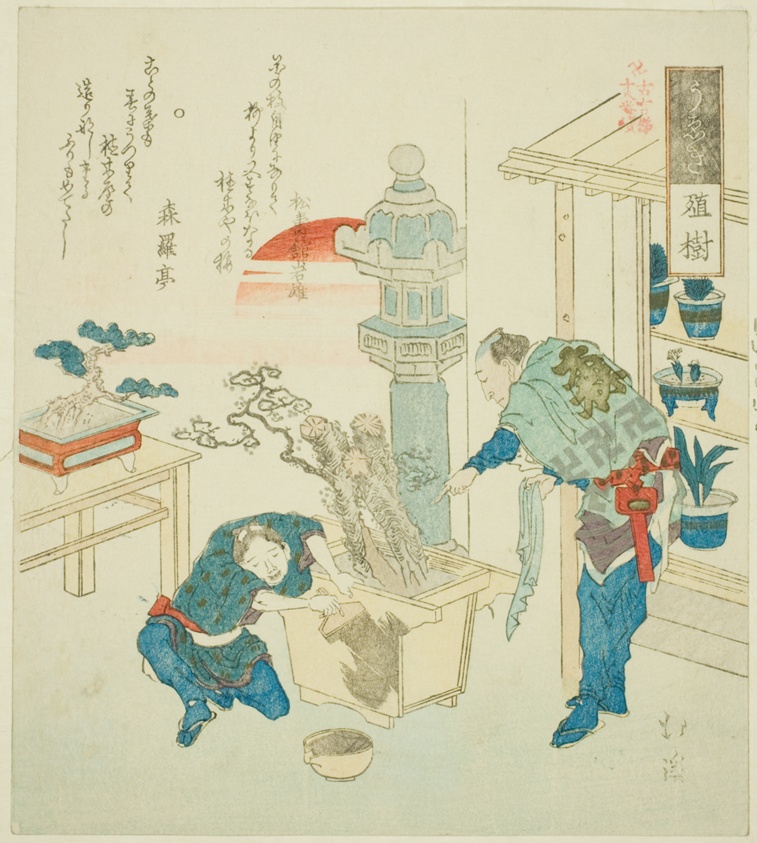 Potted Plant (Ueki), from the series "Eighteen Illustrations of the Ladder of Ancient Words (Kogentei juhachiban tsuzuki)"