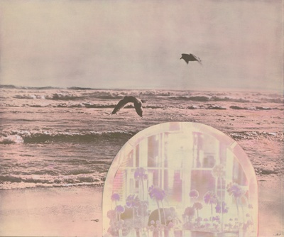 Mirror on the Coastline