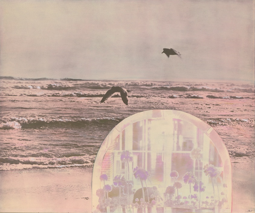 Mirror on the Coastline