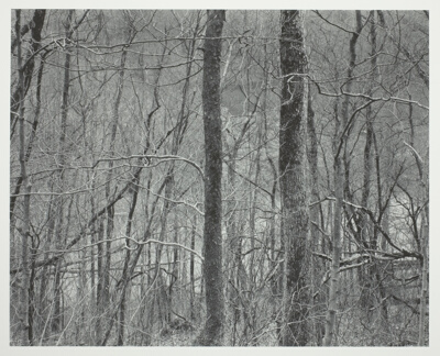 Kentucky, Two Trees and River