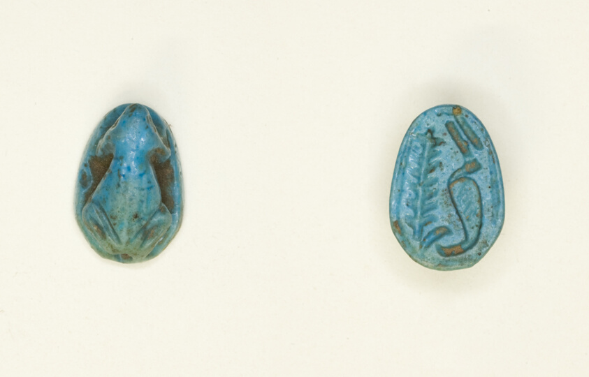 Scaraboid: Frog