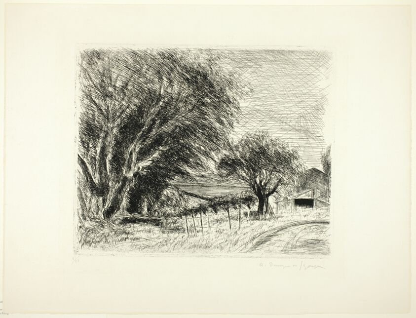 The Farm: Afternoon