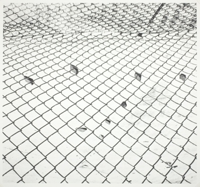 Untitled (Fence 82-4)