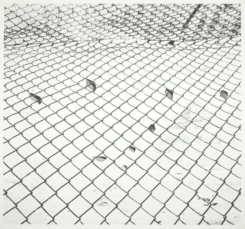 Untitled (Fence 82-4)