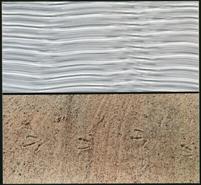 Landscape 10, from Ten Lanscapes