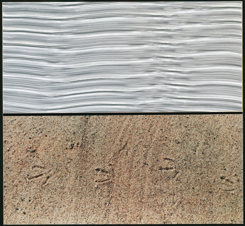 Landscape 10, from Ten Lanscapes