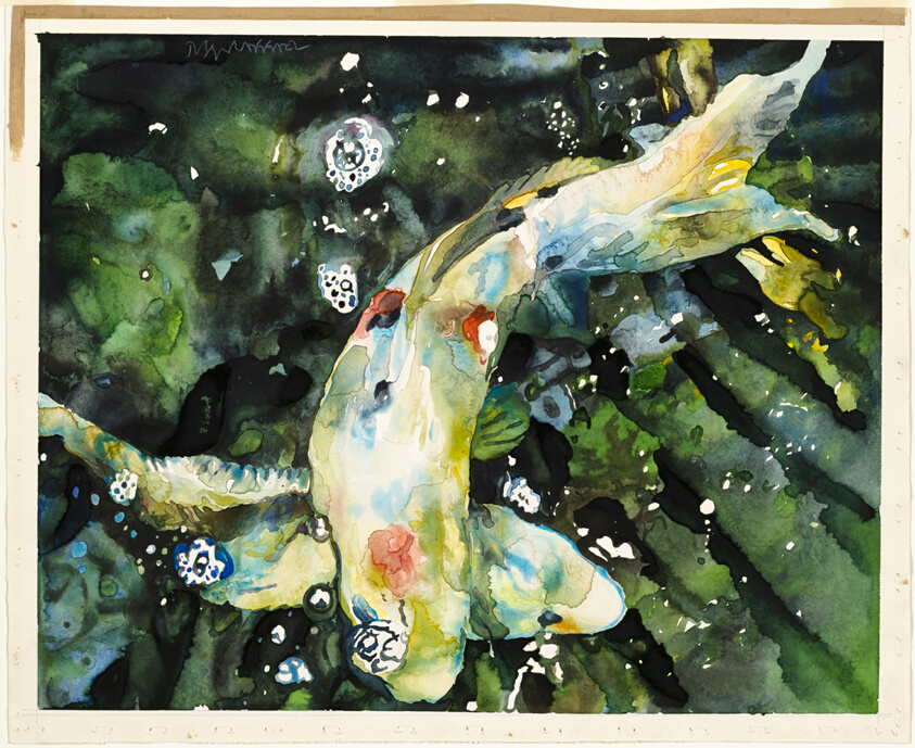 Two Fish in Dark Bubbly Water