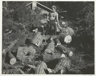 Portrait of Brett Weston
