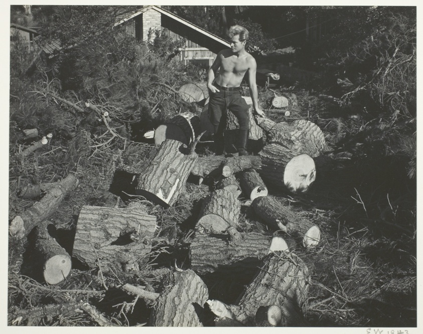 Portrait of Brett Weston
