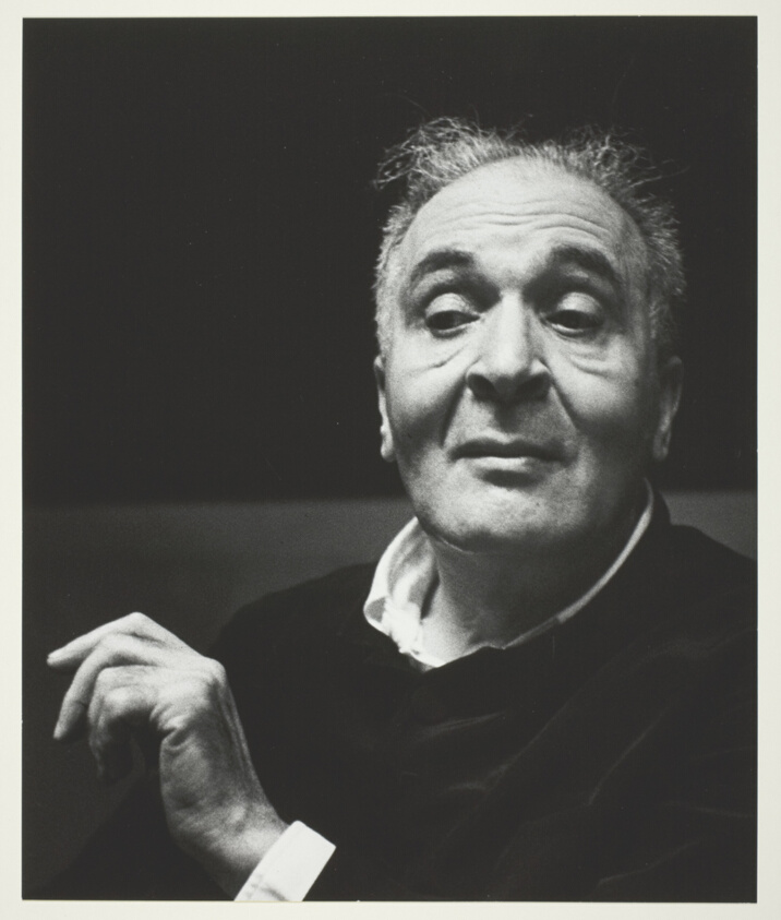 Bruno Walter the Conductor