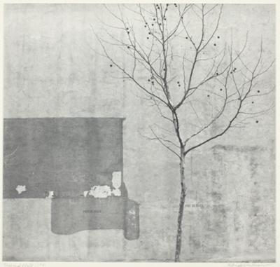 Tree and Wall, Philadelphia