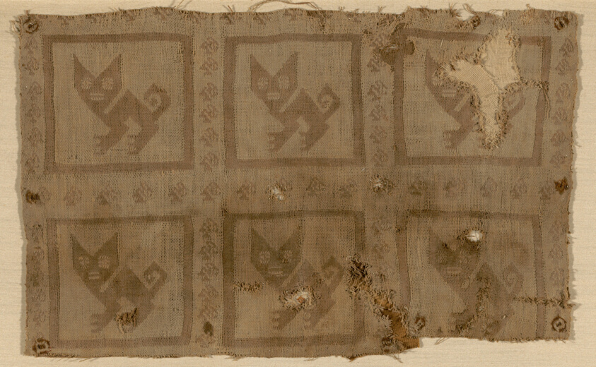 Fragment