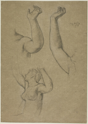 Study for The Festival
