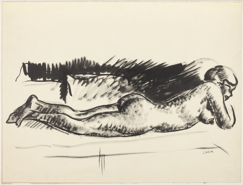 Female Nude Lying Prone