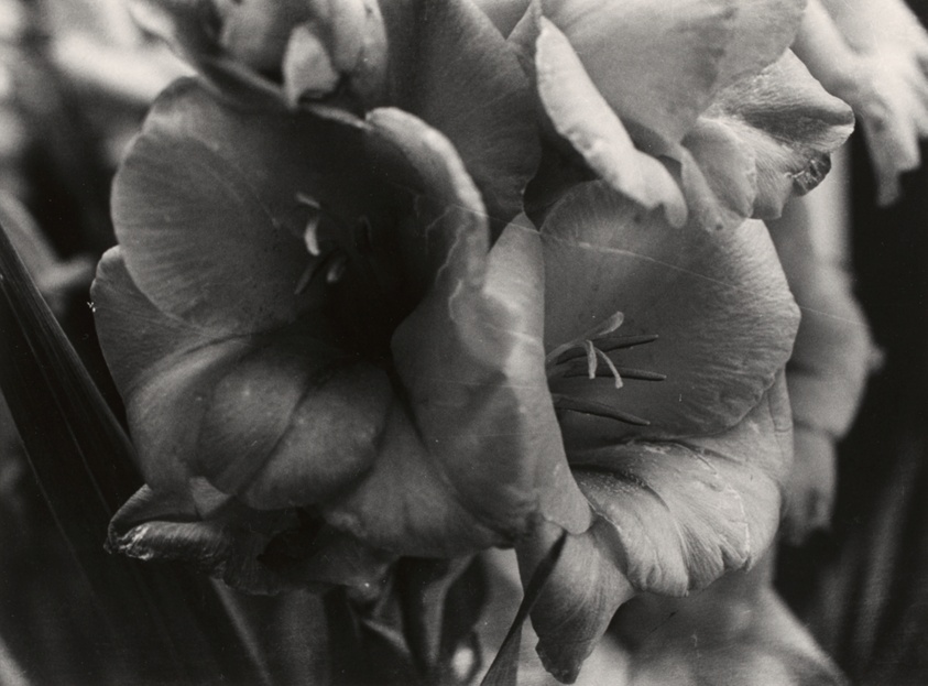 Untitled [from Circulation, October 14, #3]