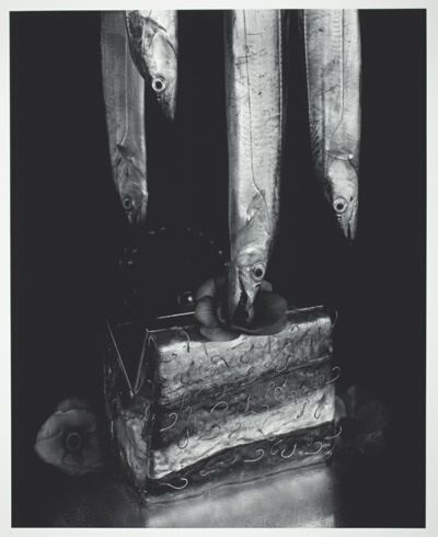 Mackerel, Hairtail and Handbag