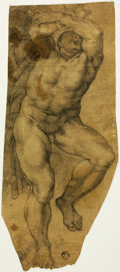 Ascending Male Nude