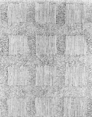 Lattice Loop