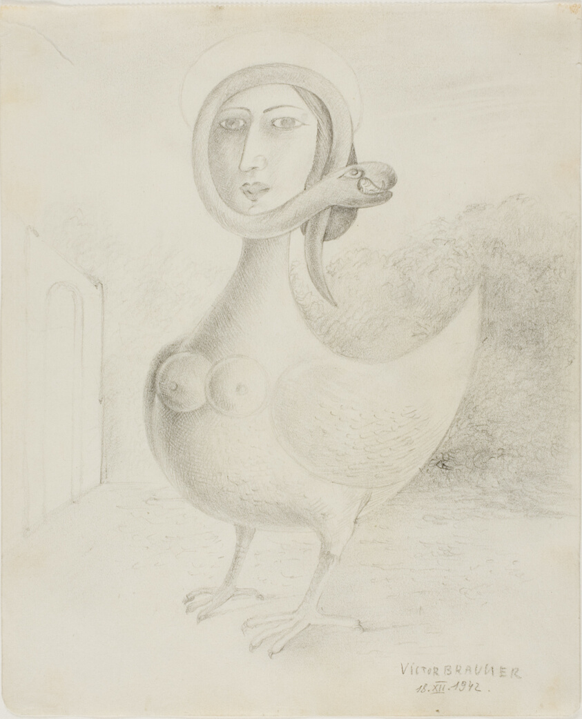 Chicken, Female and Serpent