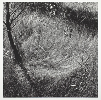 Untitled, from the series "Makom II" (1980)