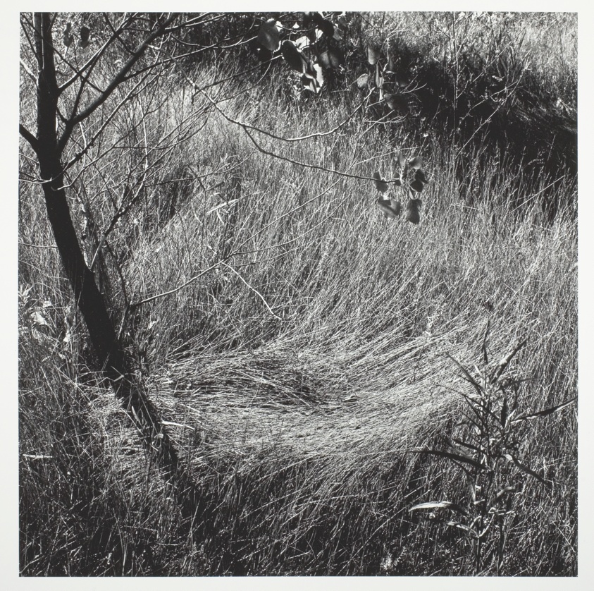 Untitled, from the series "Makom II" (1980)
