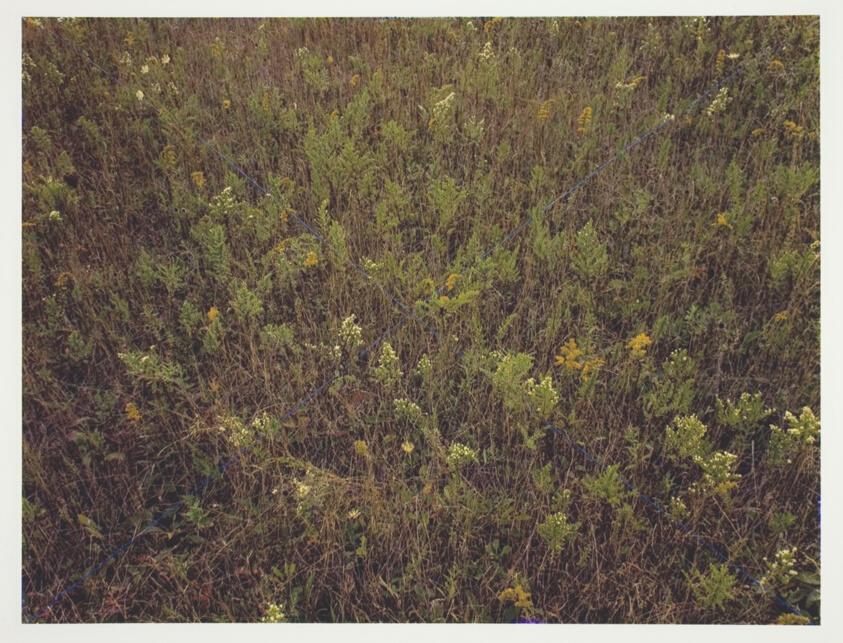 Blue X, Pembroke, New York