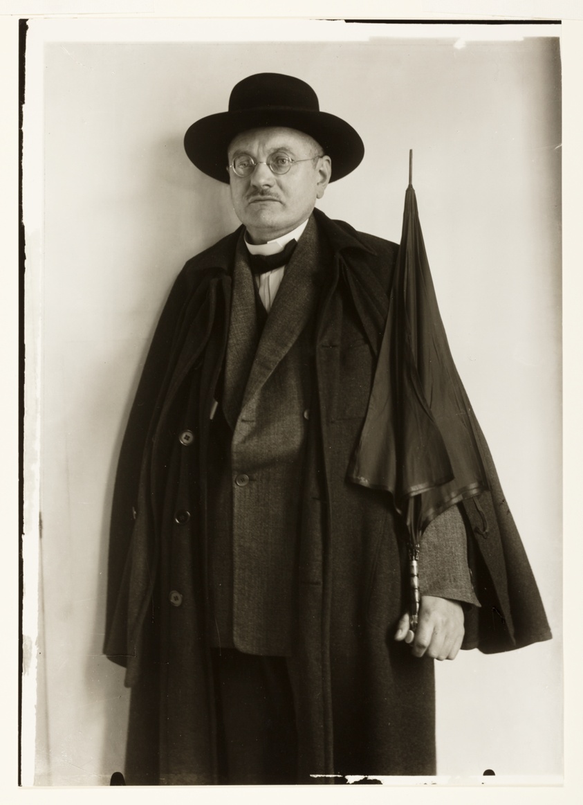 Attorney and Delegate of the Democratic Party (Johannes Scheerer) (Der Prokurist und Abgeordnete der Demokratischen Partei [Johannes Scheerer])