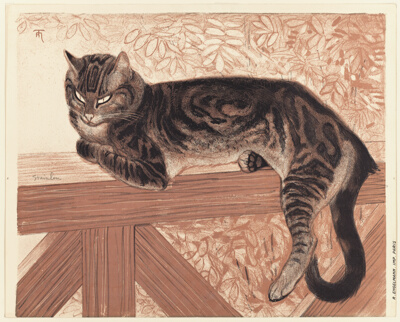 Summer: Cat on a Balustrade