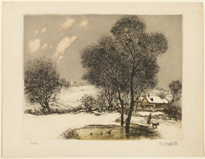 The Snow
